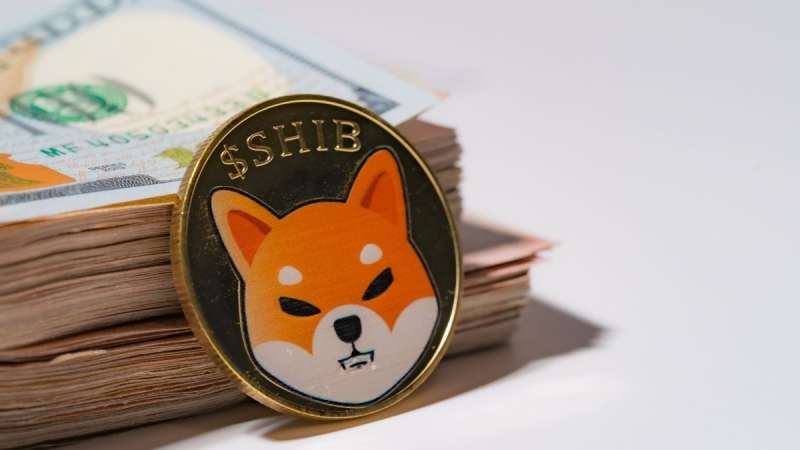 За сутки на криптобиржи поступили Shiba Inu (SHIB) на сумму  млрд