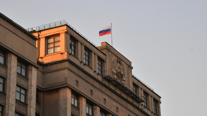 В Госдуме прокомментировали возобновление поставок оружия Киеву